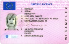 eu_drivers_license