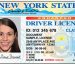 usa driving license