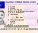 irish license
